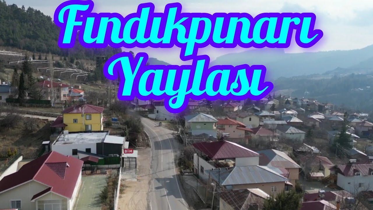 FINDIK PINARI YAYLASI-BELEDİYE MAHALLE OLDU