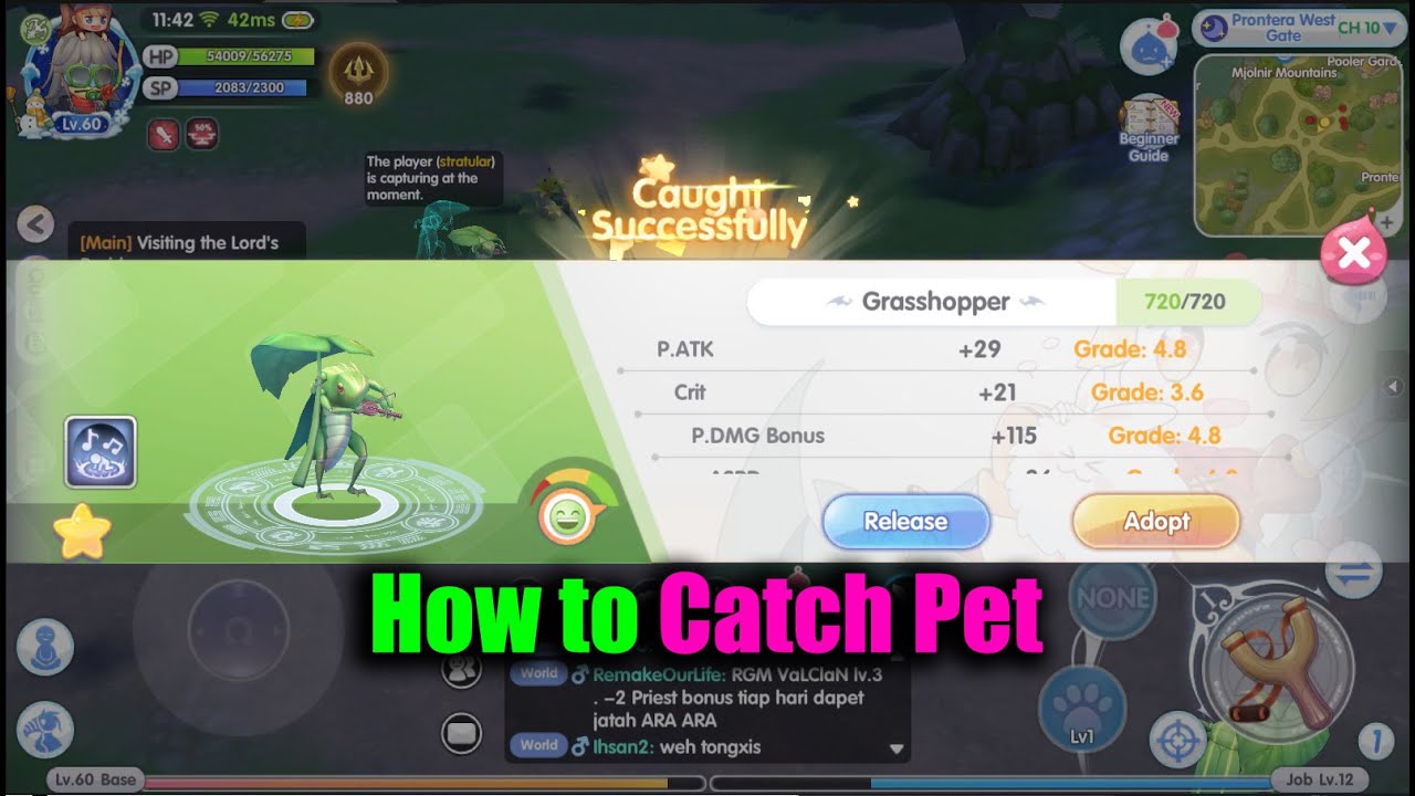 Ragnarok X Next Generation How to Catch Pet