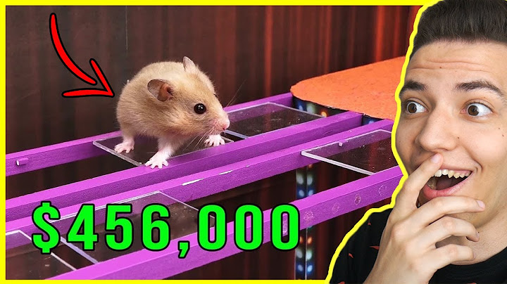 MEGÉPÍTETTÉK A VALÓDI SQUID GAMET... HÖRCSÖGÖKNEK! 😱 / NYERD MEG AZ ÉLETED: HÖRCSÖG VERZIÓ! 😆