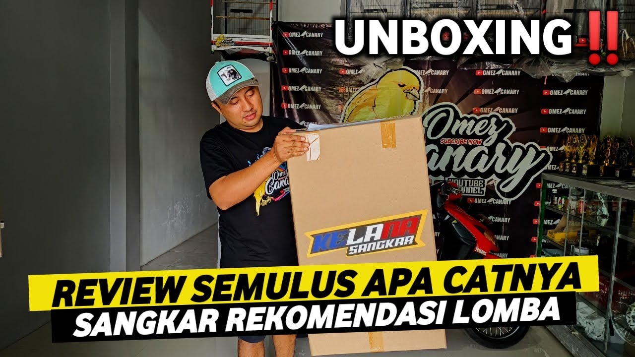 REVIEW SANGKAR DECAL MURAH‼️GAK NYANGKA SEBAGUS INI KUALITASNYA