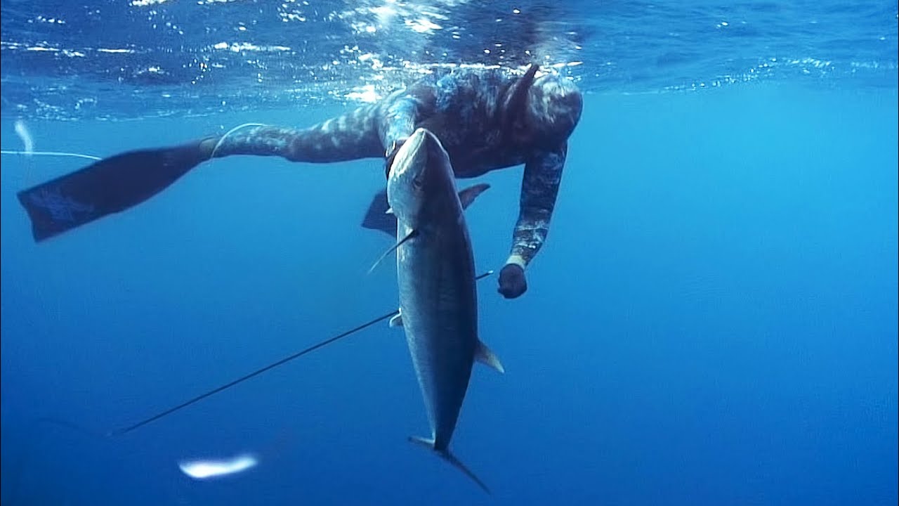 Spearfishing with Rob Allen 