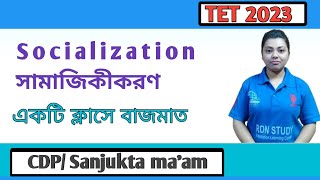 Socialization (সামাজিকীকরণ) || CDP || By Sanjukta ma'am|| #tet #wbtet