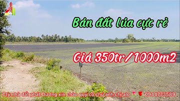 Kh1105 Bán đất lúa giá rẻ bất ngờ chỉ 350tr/1000m2 ở xã Long Định tỉnh tiền Giang alo 🌷🌹0944773589
