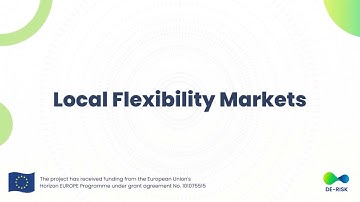 DE-RISK project - Local Flexibility Markets (Engl.)