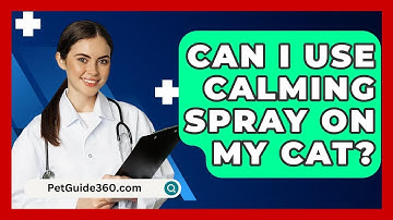 Can I Use Calming Spray On My Cat? - PetGuide360.com