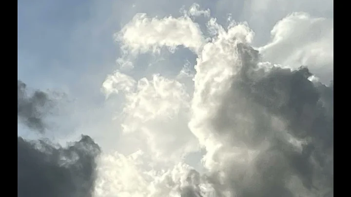 Righteous - Anthony Q