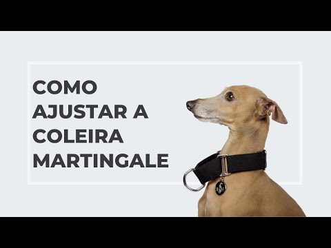 Coleira Martingale para cachorros Bege Areia - Ruff Ruff