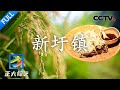 【Full】来陶镇瓷都领略千年古韵，从米粉的氤氲热气中“粉”上北流！| CCTV「正大综艺」20231105