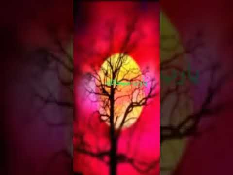 يارب سبحانك عبد الحليم