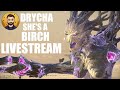 Drycha is a Birch Legendary Campaign Livestream