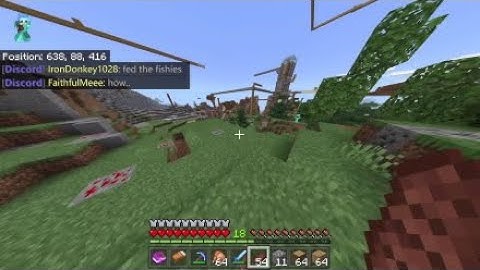 LBSG Hacker report ( SM20 )