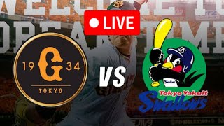 ヤクルト vs 読売野球ライブスコア1日 本プロ野球 | NPBライブスコア | Yakult vs Yomiuri Baseball Live Score