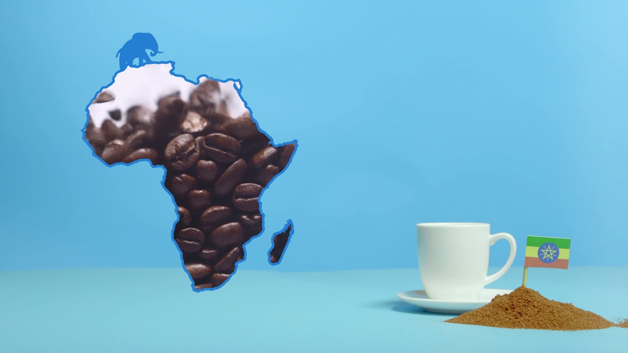 Nachfüllbare Kaffeekapsel für Nespresso - Bluecup