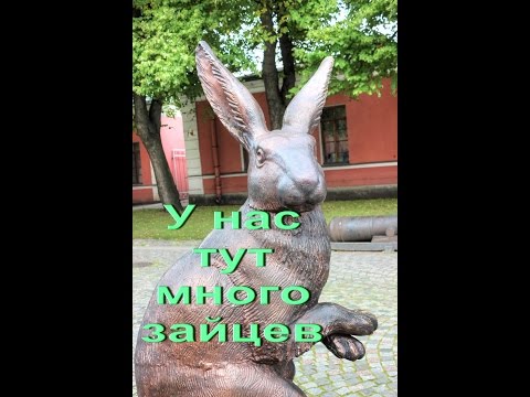 Заяц и Петропавловская крепость путешествуем с Ларуссия