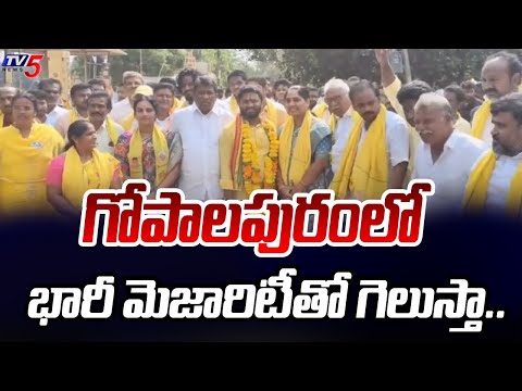 గోపాలపురంలో భారీ మెజారిటీతో గెలుస్తా.. TDP MLA Candidate Maddipati Venkata Raju Padayatra | TV5 News - TV5NEWS