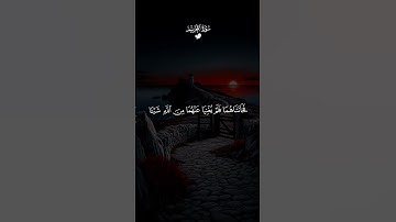 من سورة التحريم 🤍❤️ تلاوة خاشعة للشيخ ماهر المعيقلي #قران #قران_كريم #راحة_نفسية #تلاوة_خاشعة