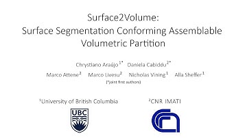 Surface2Volume: Surface Segmentation Conforming Assemblable Volumetric Partition  (SIGGRAPH 2019)