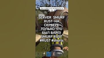SERVER  SMURF RUST  НА СЕРВЕРЕ ТОЛЬКО ЧТО БЫЛ ВАЙП! SMURF RUST #RUST #shorts