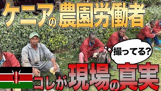 【ケニアの真実】"アフリカ最大級のバラ農園"に潜入して現場のリアルを撮影してきた｜ケニアの農園で働く人たちから世界の切花ビジネスの仕入れ買付交渉輸入まで全てを紐解いていきます