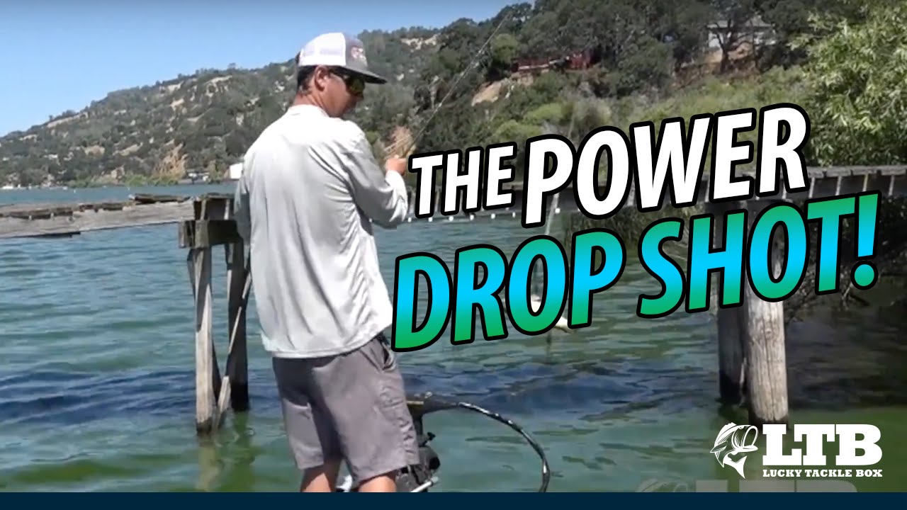 How To Power Drop Shot  Lucky Tackle Box Tips 