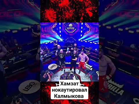 Хамзат Маэстро нокаутировал Калмыкова #хамзатмаэстро #калмыков #киборг #сульянов #бои #шоу