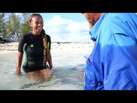 Waves of Wisdom | Ocean Culture Grant Film
