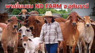 พาเยี่ยมชม ND farm จ.อุทัยธานี