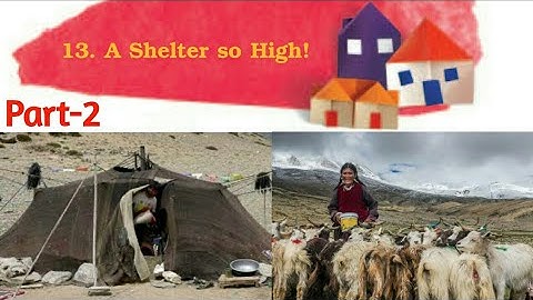 Ncert class 5 EVS | Ch.13 A shelter so high! | Part-2