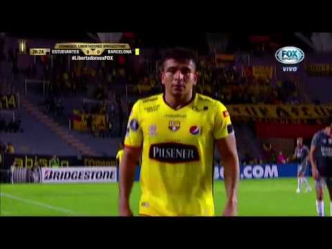 Bsc 2017 Bsc 2017