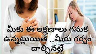 Pregnancy Symptoms in Telugu l Pregnancy Lakshanalu l Early Pregnancy symptoms in telugu