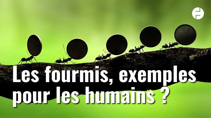 Peut-on  s'inspirer du travail des fourmis ?