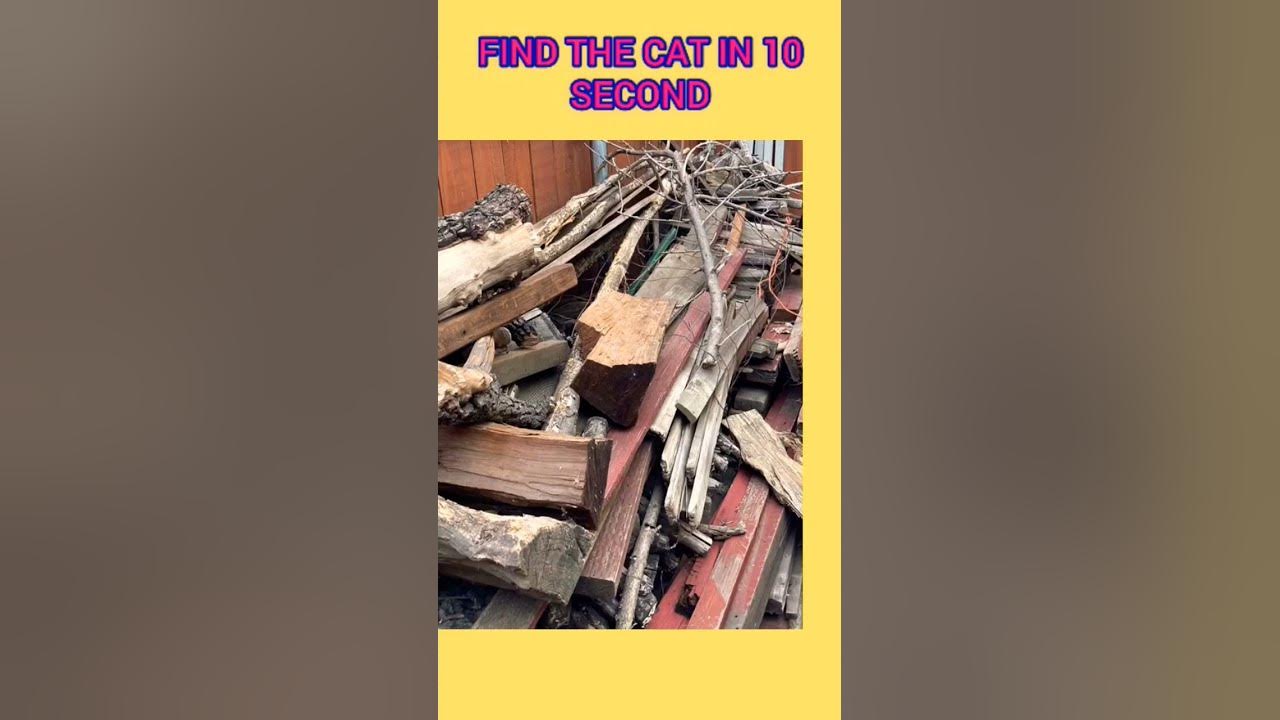 Find the cat puzzle game youtube