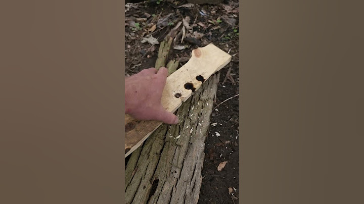 Bow Drill Friction Fire 🔥