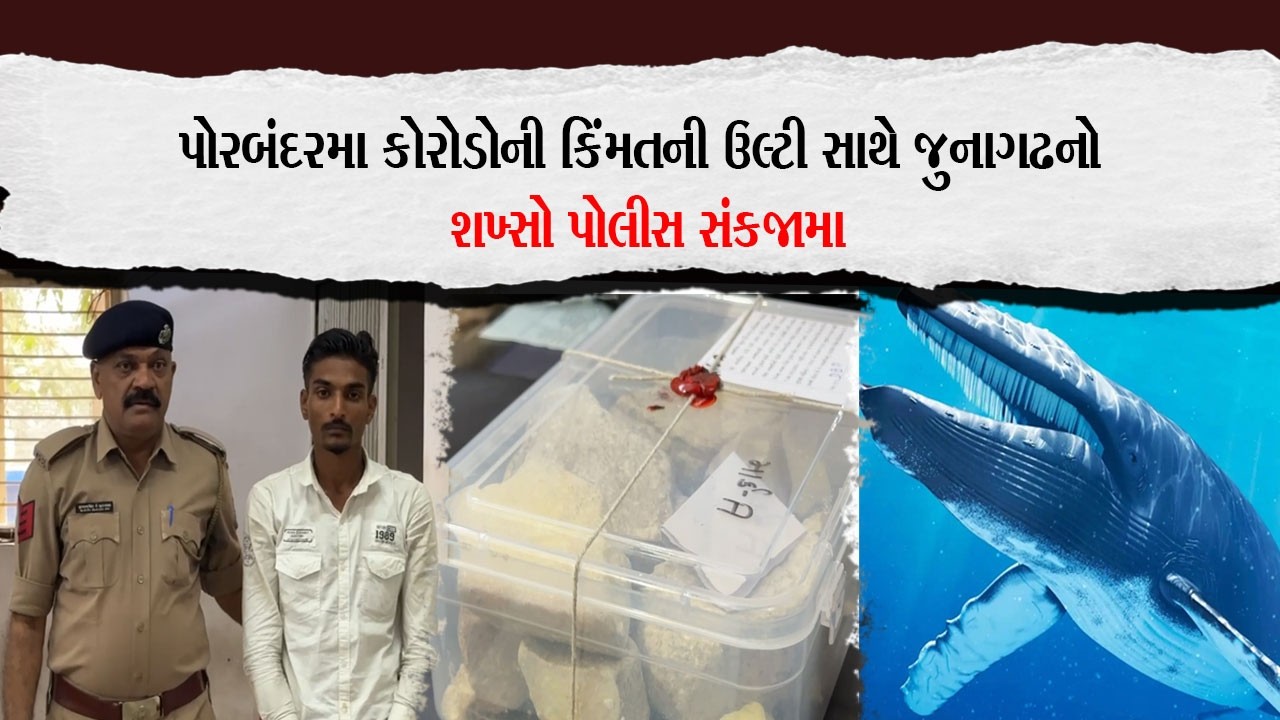 પોરબંદરમા કોરોડોની કિંમતની ઉલ્ટી સાથે જુનાગઢનો શખ્સો પોલીસ સંકજામા… |Porbandar Khabar| |Fishing|