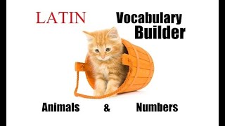 Latin Vocabulary Builder #1 - Animals & Numbers - Latin Lessons for Beginners - Latin 101