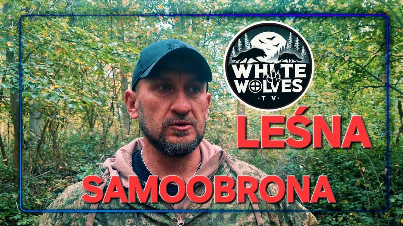 Psy zagryzły grzybiarza.Mamy się czego bać? 