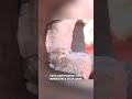 MENGAPA C4 SANGAT STABIL?