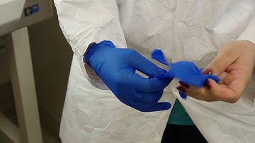 BMFS laboratory protocol - Biosafety