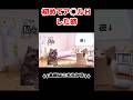 初めておけつの穴で繋がった時の話【本編は動画へ】 #恋愛 #猫ミーム #日常 #おもしろ #カップル #shorts