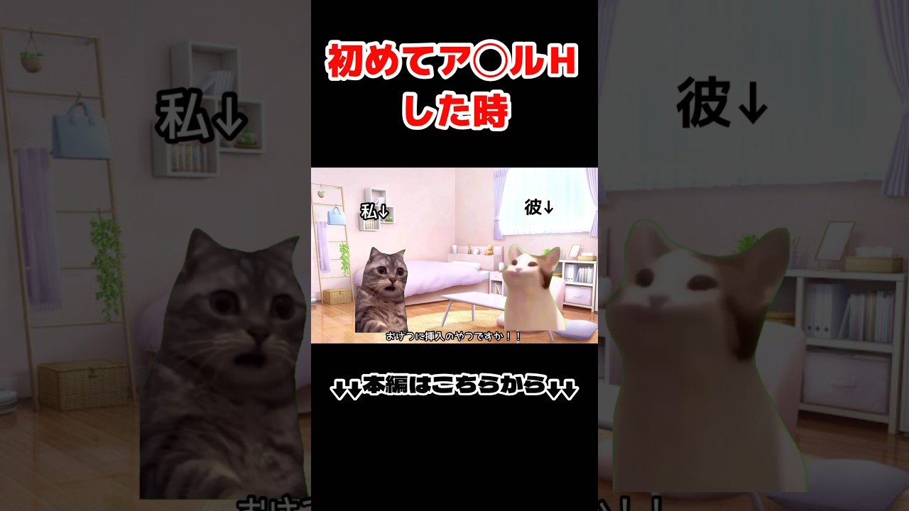 初めておけつの穴で繋がった時の話【本編は動画へ】 #恋愛 #猫ミーム #日常 #おもしろ #カップル #shorts