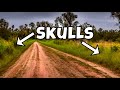 We Found TONS of SKULLS on the Side of This Road | Bone &amp; Fossil Hunting, Foraging and Rockhounding