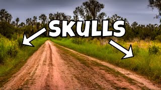We Found TONS of SKULLS on the Side of This Road | Bone &amp; Fossil Hunting, Foraging and Rockhounding