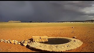 The rain has arrived in the Namib Desert, Namibia