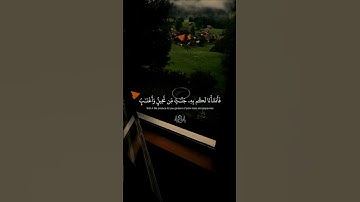 ارح قلبك… تلاوة تريح القلب 😴| #قرآن #تلاوة_خاشعة #ياسر_الدوسري #راحة_نفسية #تابعوني #اكسبلور #لايك