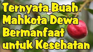 Manfaat Buah Mahkota Dewa untuk Kesehatan