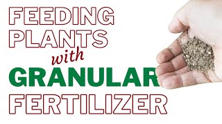 How To Apply Granular Organic Fertilizer to Your Vegetable Garden
