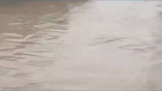 San Diego sends flood preparedness flyers to residents in flood zones