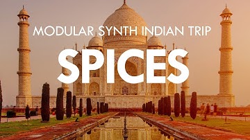 SPICES - Morphagene, Assimil8or, Rings, Plaits, Neutron, Magneto, Black Hole DSP 2