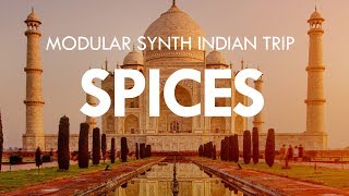 SPICES - Morphagene, Assimil8or, Rings, Plaits, Neutron, Magneto, Black Hole DSP 2