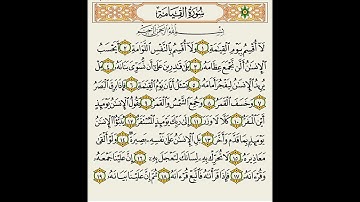 سورة القيامة كاملة||القارئ محمد خليل || القران الكريم